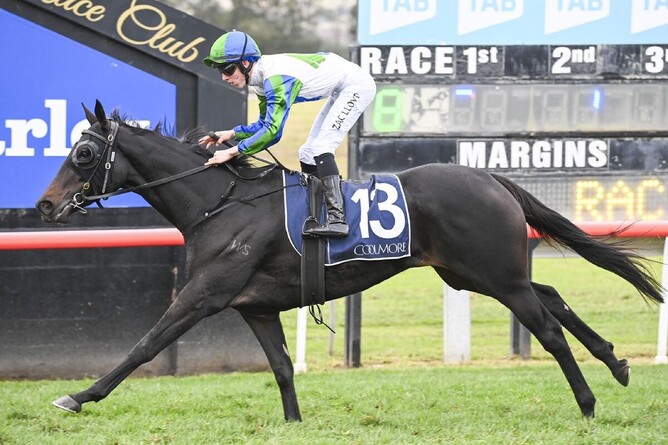 Fall For Cindy added valuable black-type to her record when winning the Gr.3 Dark Jewel Classic at Scone on Saturday - Photo: bradleyphotographers.com.au