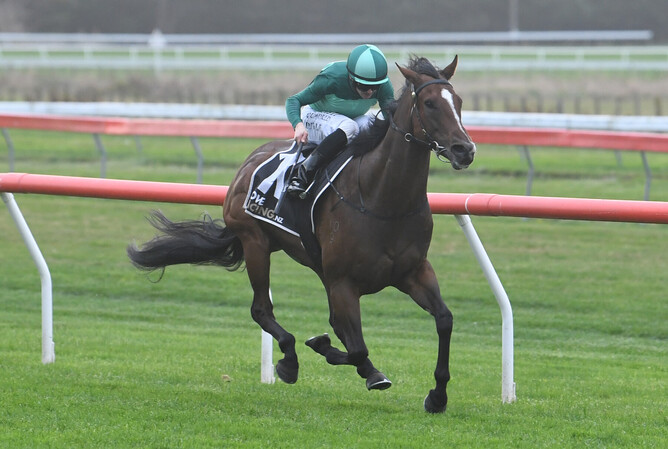 Mr Mojo Risin’ too slick in Anzac Mile | New Zealand Thoroughbred ...