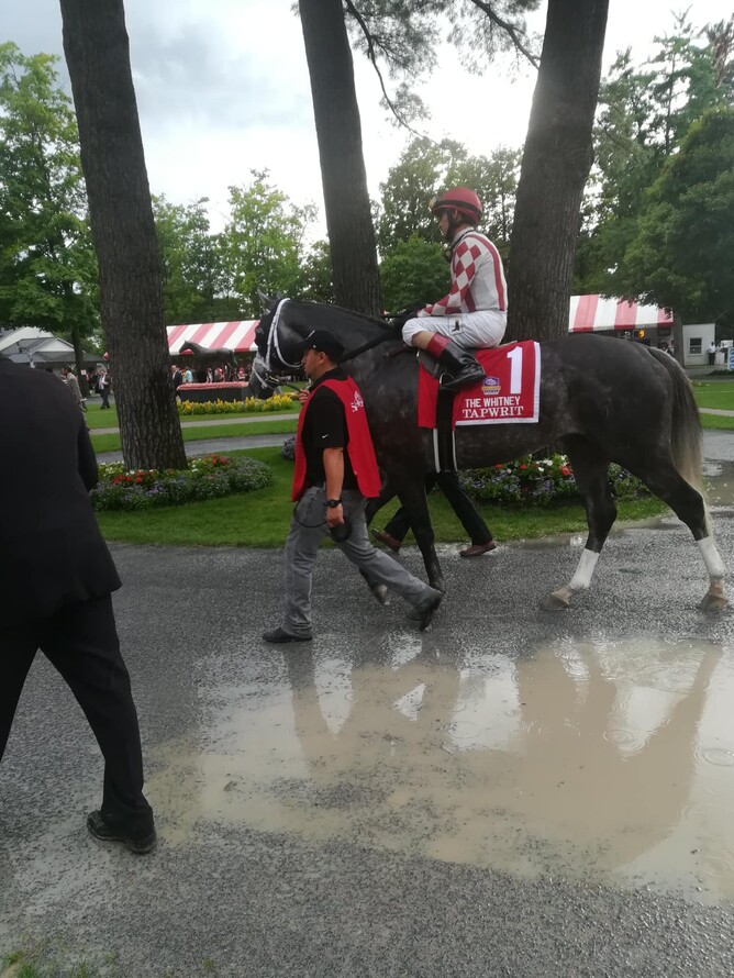 Tapwit trained by Todd Pletcher parading