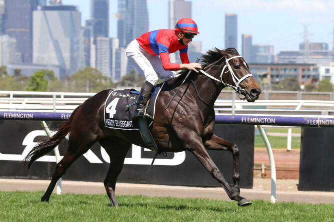 Verry Elleegant on her way to winning the Gr.1 Melbourne Cup (3200m). Photo: Bruno Cannatelli