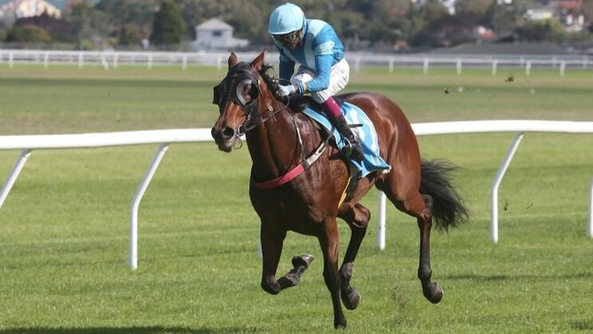 Two-year-old debutant Rionach wins at Avondale  - Photo: Trish Dunell