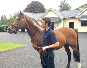 Good luck, Good luck and Goodbye to Ireland