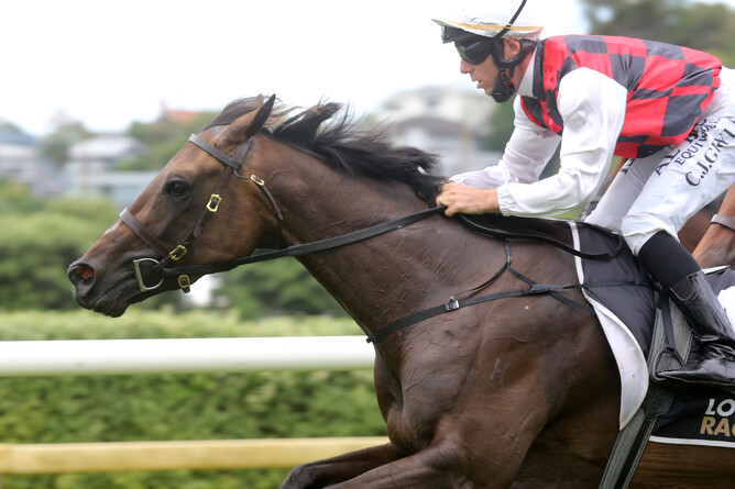 Craig Grylls and La Crique take out the Gr.2 AJC Avondale Guineas (2100m) at Ellerslie - Photo: Trish Dunell