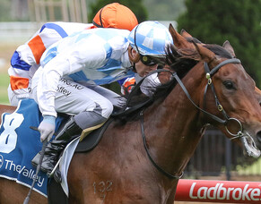 Chittick Savouring Further Racetrack Success from Graduates