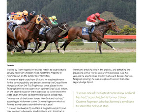 2020 First Season Sires- Ferrando