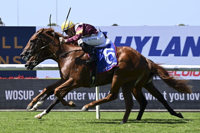 Linebacker and Anode go stride for stride to the line in the Gr.3 Ballieu (1400m) with the former getting his nose in front to win.  - Photo: bradleyphotos.com.au