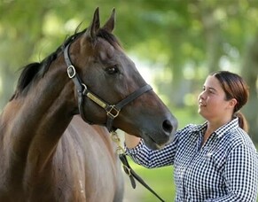 Rebecca Donovan - Sunline Management Scholarship Blog 1