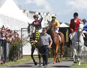 &#039;Champ&#039; delivers Group Three win