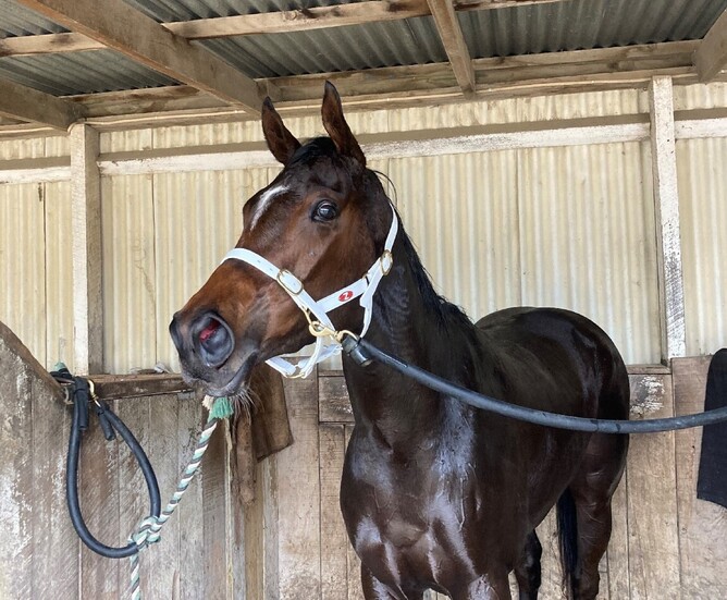 Riverton winner Gintys Girl.