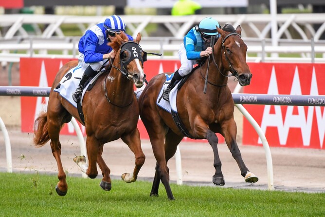 Crosshaven (inside) battles it out with Aysar to win the Gr.3 Carbine Club Stakes at Flemington. Photo: Natasha Morello, Racing Photos