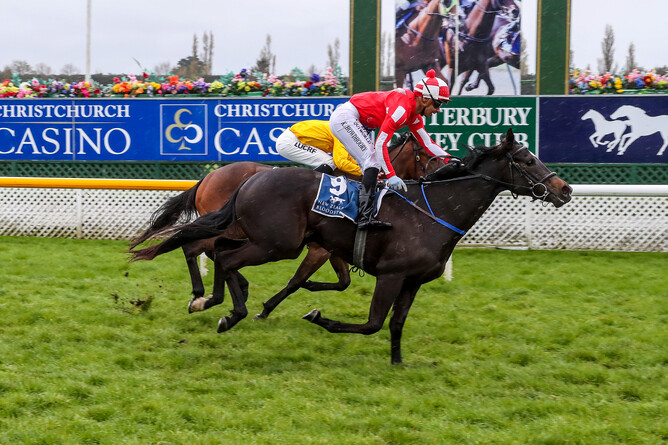 Ohio Showgirl on her way to winning on debut and collecting a NZB Insurance Pearl Series bonus at Riccarton - Race Images South
