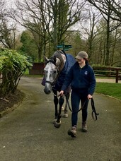 Blog Post: Laura McNab