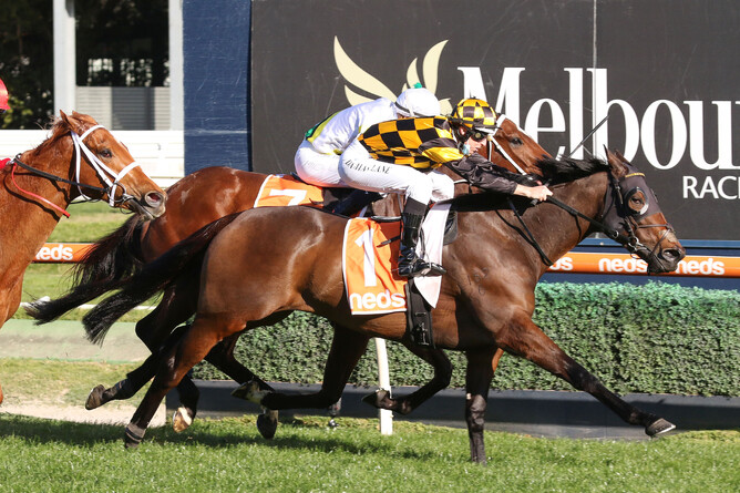Probabeel opens her Australian spring campaign with a win in the Gr.3 W.W. Cockram Stakes (1200m) at Caulfield Photo credit: Bruno Cannatelli