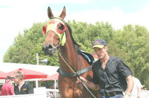 Richard Coxon with Desert Flight  - Photo: NZTM