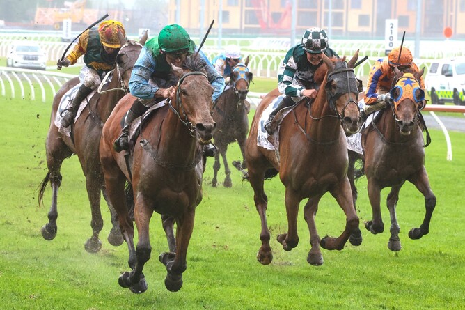 Aljay winning the Listed Sothys Spring Classic (2000m) at Riccarton on Saturday.  - Photo: Ajay Berry, Race Images