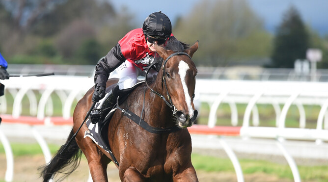 Courtney Barnes and Mustang Valley  - Photo:  Grant Matthew