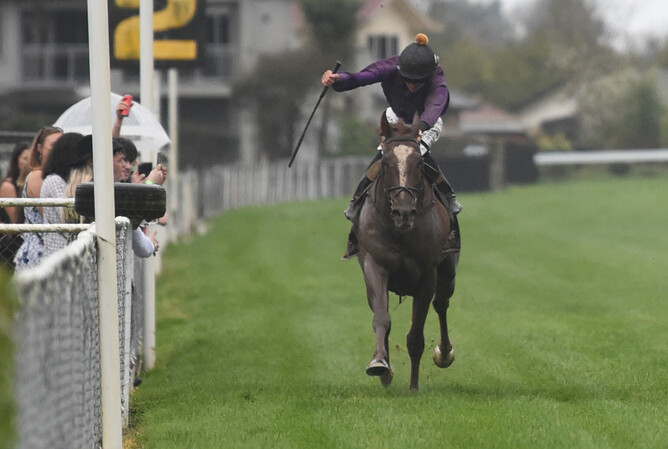 Joe Doyle uses every inch of the Awapuni straight to guide Belardo Boy to victory in the Gr.3 Hunterville Vet Club Metric Mile (1600m).   - Photo: Peter Rubery (Race Images Palmerston North