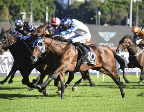 Explosive family gives Muollo Group One win