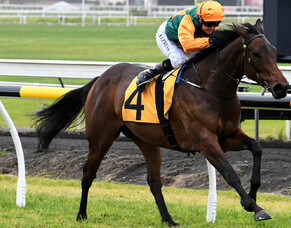 The waiting is over for New York Minute