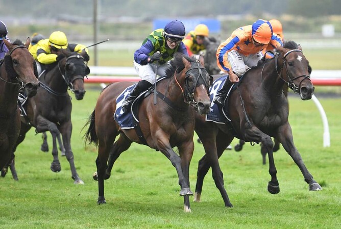 Striking filly Still Bangon fights hard to score in the Gr.3 Lawnmaster Eulogy Stakes (1600m) at Trentham on Saturday. - Photo: Peter Rubery (Race Images Palmerston North)