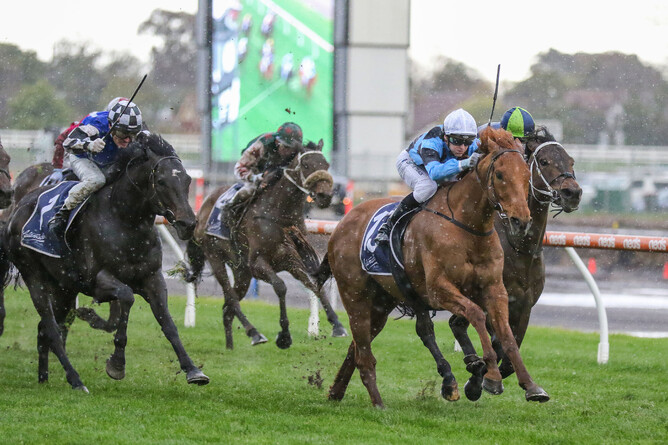 Smokin Romans toughs it out to win the Gr.3 MRC Foundation Cup (2000m) at Caulfield - Photo: Bruno Cannatelli