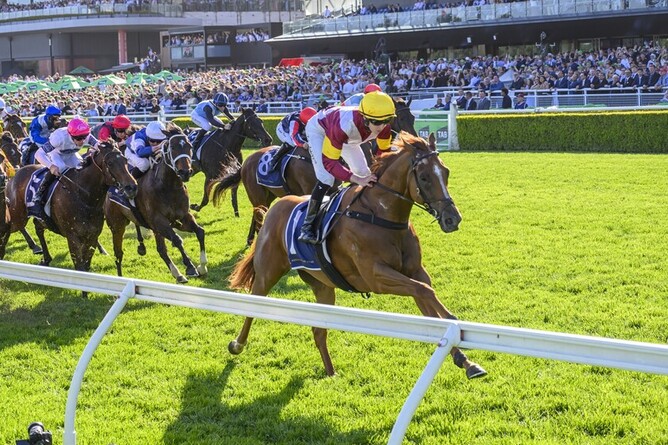Linebacker was a dominant winner of the Gr.3  Silver Eagle (1300m) at Randwick on Saturday - Photo: bradleyphotos.com.au