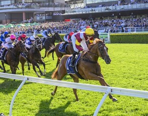 Brilliant Linebacker heads Kiwi quinella in Silver Eagle
