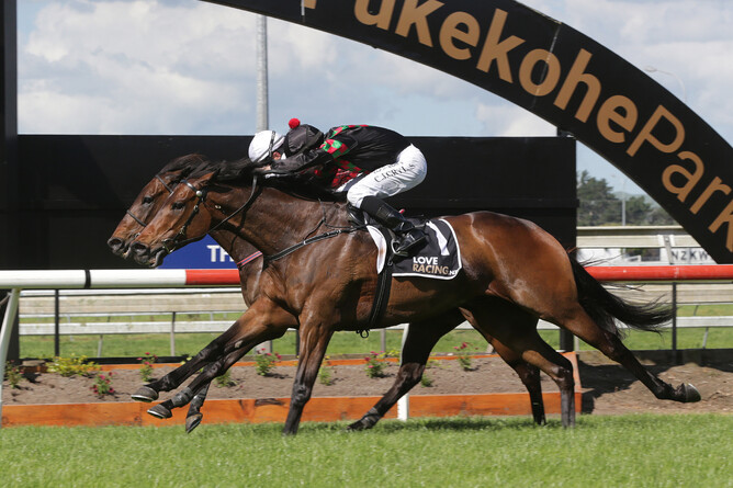 Defibrillate winning the Gr.3 Balmerino Stakes (2050m) at Pukekohe on Tuesday. - Photo: Trish Dunell