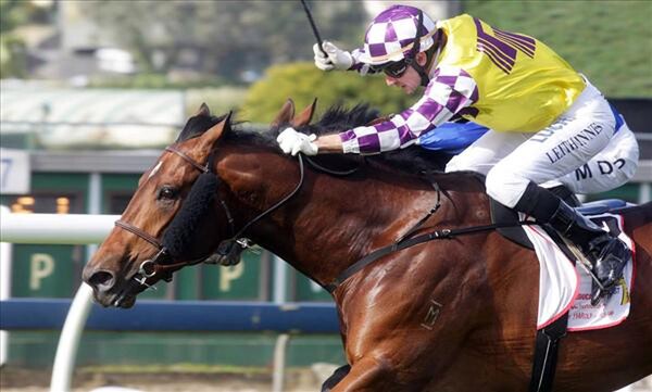 Sacred Park (above) takes out the Bonecrusher Stakes at Ellerslie - Photo NZTM website