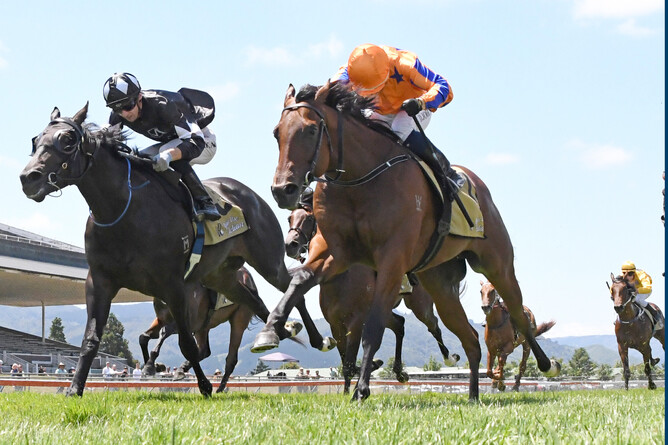 Quattro Quinta (right) holds out a brave Wolfgang to take out the IRT No.1 Wellesley Stakes (1000m) at Trentham