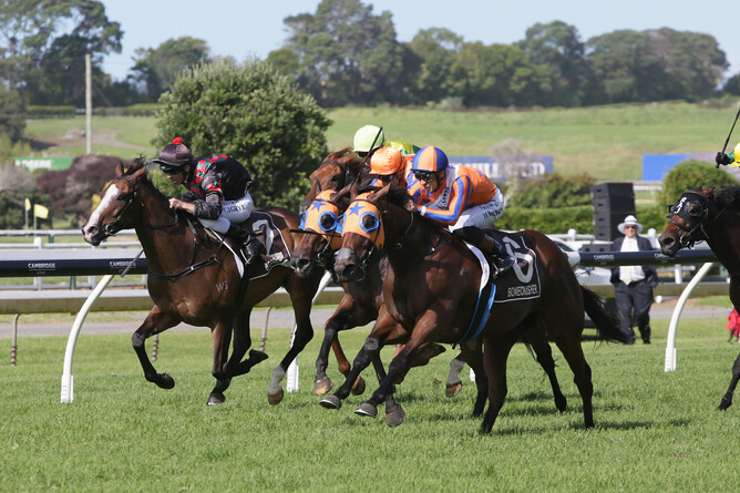 Melody Belle bursts to the front at Ellerslie on her way to victory in the Gr.1 Bonecrusher NZ Stakes (2000m) Photo Credit: Trish Dunell
