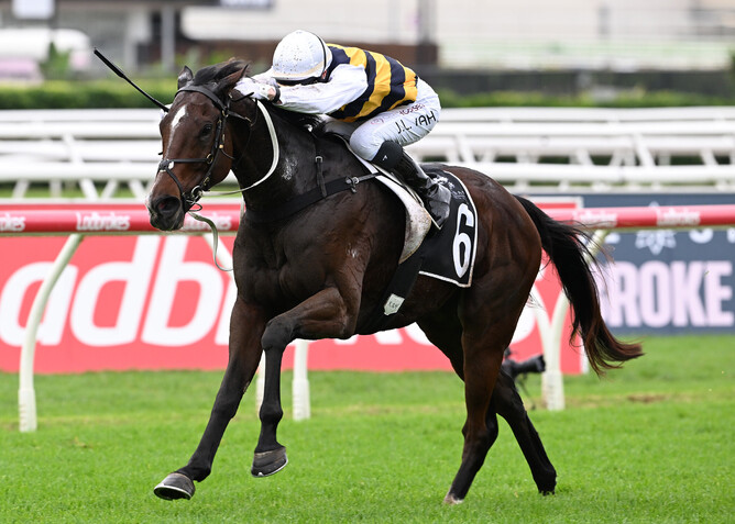 Hezashocker was at his winning best taking out the Gr.3 Premier’s Cup at Eagle Farm - Photo: Grant Peters, Trackside Photography