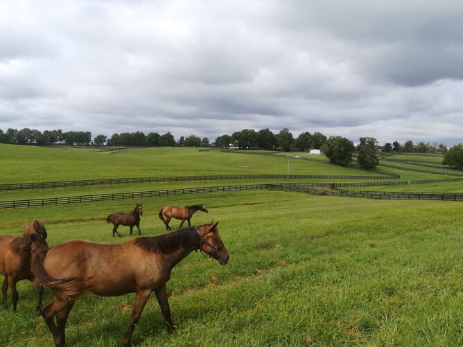 Taylor Made Farm