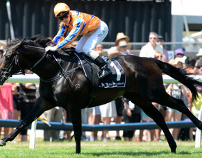 Newhaven Park to stand Xtravagant