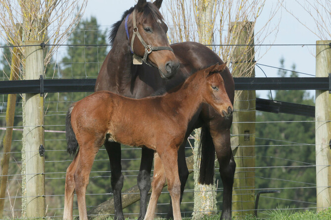 b c Belardo - Lullaby (by O'Reilly)