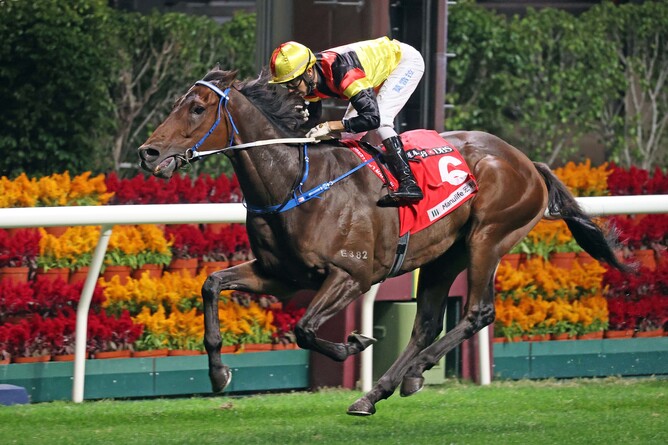 New Zealand bred galloper Zebrowski ran out a strong winner of the Gr.3 January Cup (1800m) at Happy Valley on Wednesday  Photo: HKJC