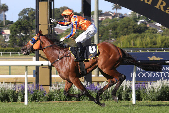 Opie Bosson lets out a victory roar as Dynastic crosses the line first at Ellerslie Photo Credit: Kristin Ledington