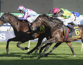 Kiwi mare lands Sydney Cup