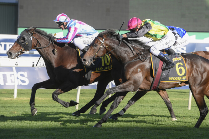 Etah James winning the Gr.1 Sydney Cup (3200m) from The Chosen One. Photo: Bradleyphotos.com.au