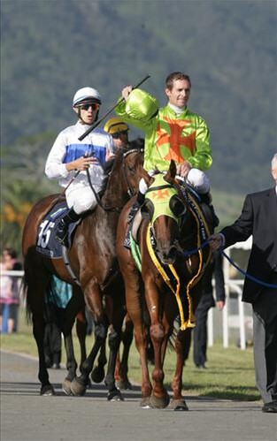 Pictured above - Barinka comes back to scale after he win in the NZ Thoroughbred Breeders' Stakes at Te Aroha on Saturday. - Picture by Equine Photographer Trish Dunell