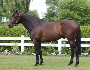 Deauville Group 1 results a boost for Cambridge Stud