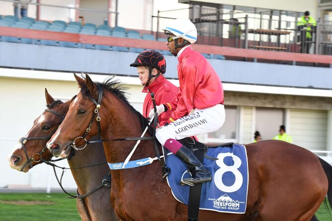 Raced Evens will be sold on the upcoming gavelhouse.com auction - Photo: Supplied