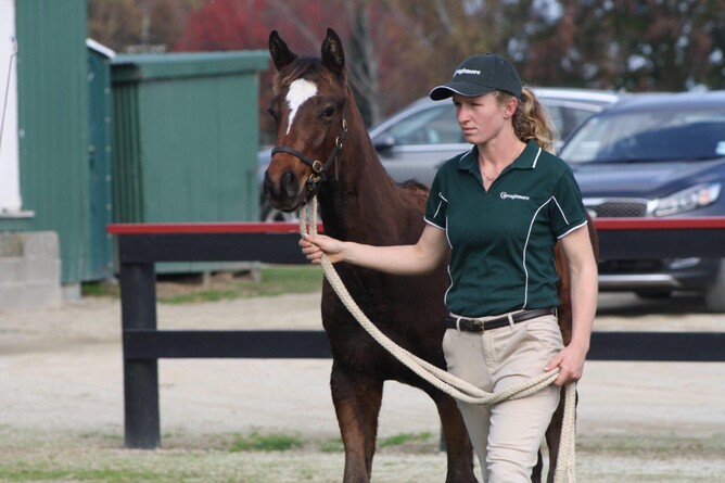 Hannah Aiery will head to Ireland next year on the Keith and Faith Taylor Equine Scholarship