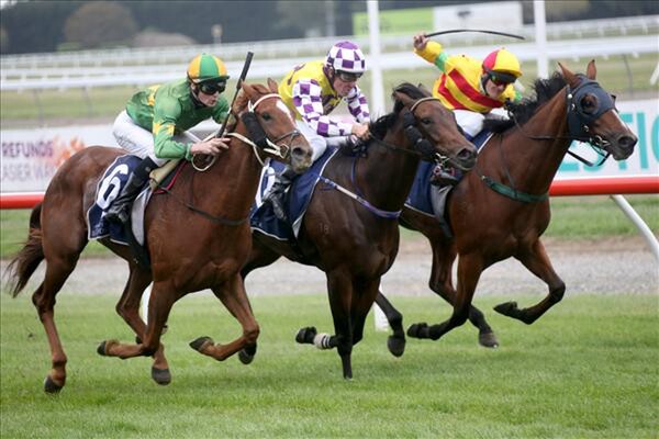 Coulee (green/white silks) runs on to win the Gr. 3 Valachi Downs South Island Breeders’ Stakes 2-4-16 - Photo courtesy of Race Images South