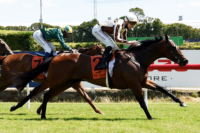 Levante cruises to victory in the Listed Haunui Farm Counties Bowl (1100m) at Te Rapa Photo Credit: Race Images – Kenton Wright