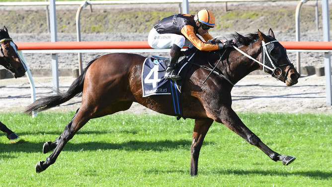 Andy Win winning at Matamata on Wednesday.  - Photo: Kenton Wright (Race Images)