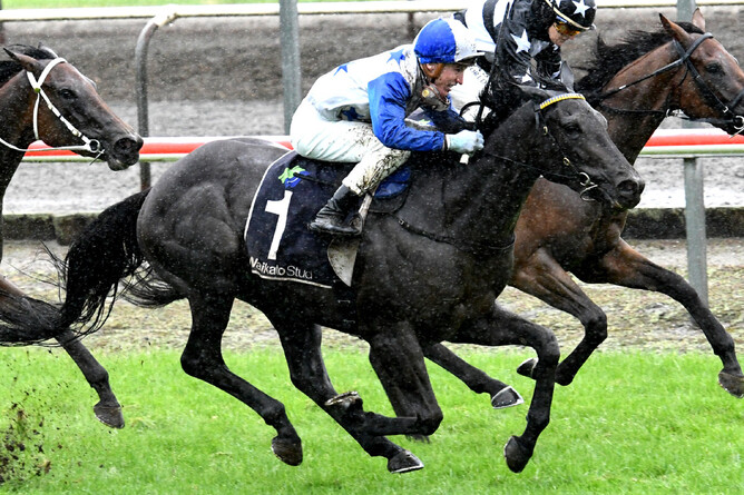Dark Destroyer overcomes wet conditions to win the Gr.3 Bonecrusher Stakes at Matamata. - Photo: Kenton Wright, Race Images