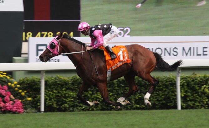 Dual Hong Kong Horse of The Year Beauty Generation was named the Horse of the Year at the Cathay Pacific Group One Awards Dinner in Hamilton on Friday night. - HKJC