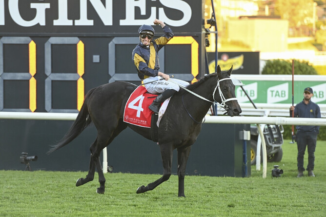James McDonald celebrates as he brings Matchmaker back to the winner’s enclosure at Royal Randwick Photo Credit: Bradleyphotos.com.au