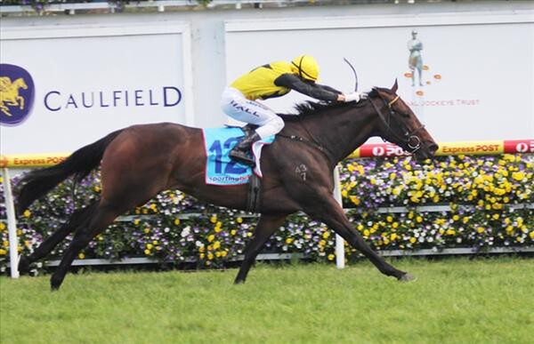 Photo: NZTM website - Bonnie Mac